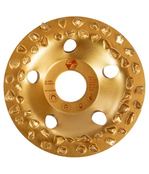 Твердосплавный шлифовальный диск грубый Eibenstock 100мм для EPF 200-3